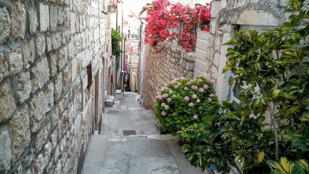 Nona 1 Hvar Town