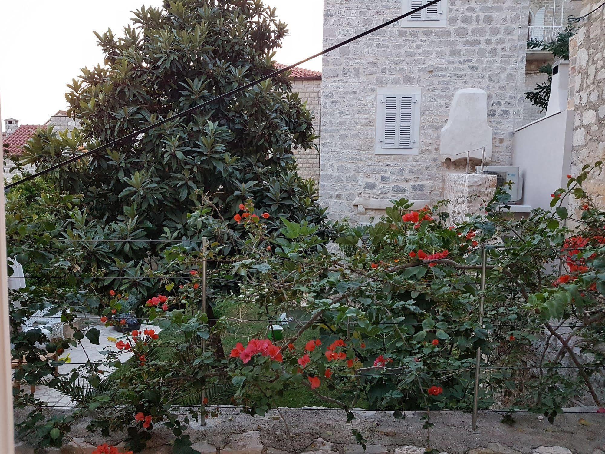Nona 1 Hvar Town